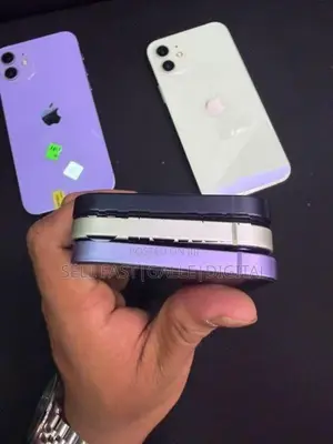 Apple iPhone 12 (Used)
