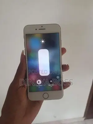 Apple iPhone 7 (Used)