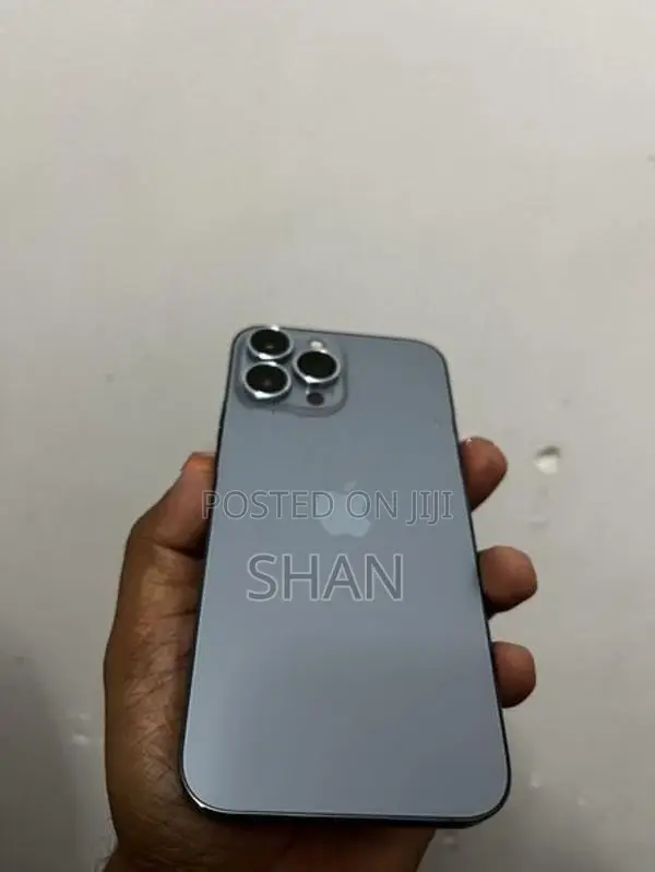 Apple iPhone 13 Pro Max (Used)