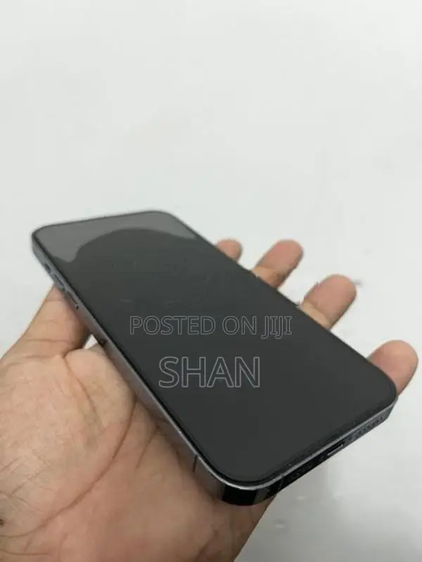 Apple iPhone 13 Pro Max (Used)