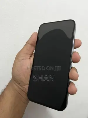 Apple iPhone 13 Pro Max (Used)