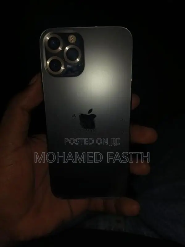 Apple iPhone 12 Pro 25GB (Used)