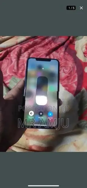 Apple iPhone XS Max (Used)