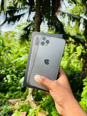 Apple iPhone 11 Pro Max (Used)