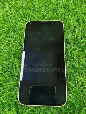 Apple iPhone 13 (Used)
