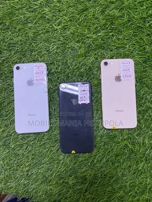 Apple iPhone 8 (Used)