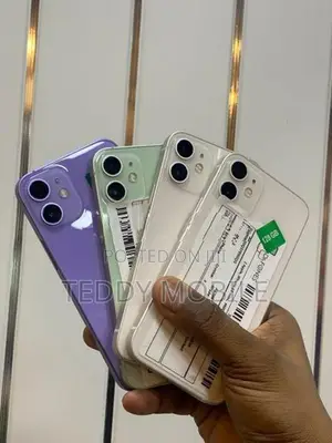 Apple iPhone 12 mini (Used)
