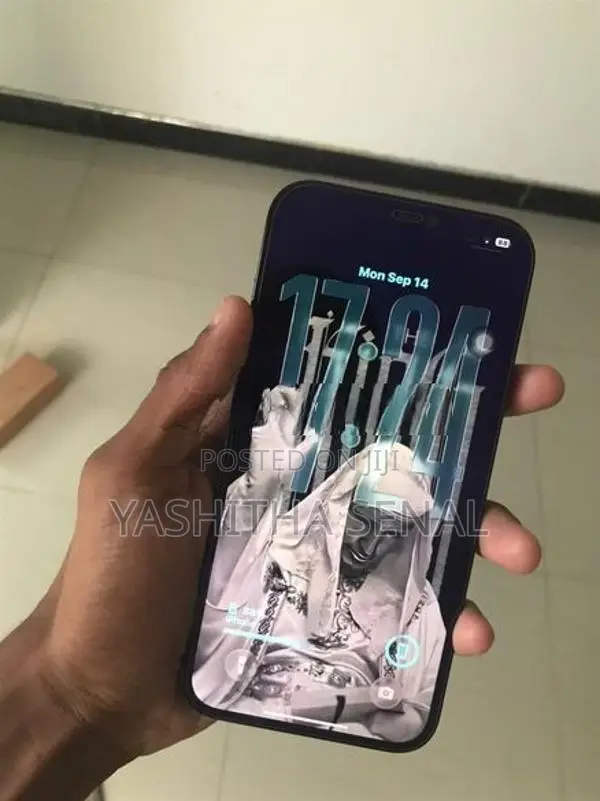 Apple iPhone 12 Pro Max (Used)