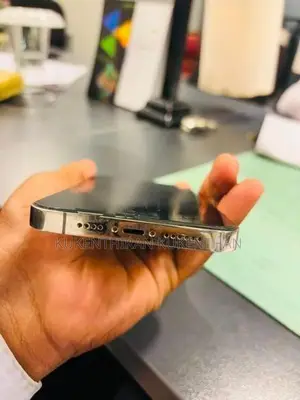 Apple iPhone 14 Pro Max (Used)
