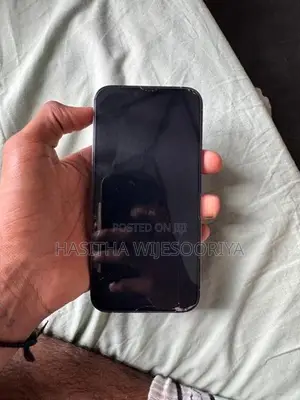 Apple iPhone 13 Pro Max (Used)