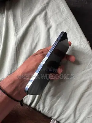 Apple iPhone 13 Pro Max (Used)