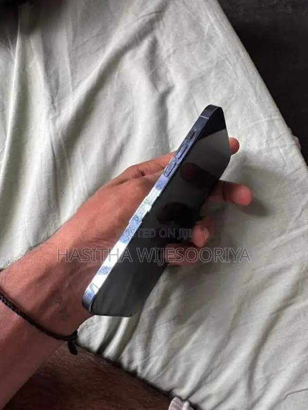 Apple iPhone 13 Pro Max (Used)