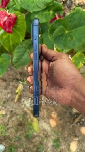 Apple iPhone 17 Pro Max (Used)