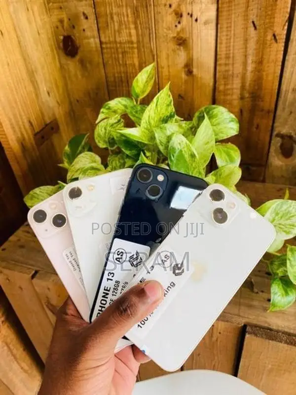Apple iPhone 13 128GB (Used)