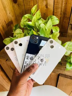 Apple iPhone 13 128GB (Used)