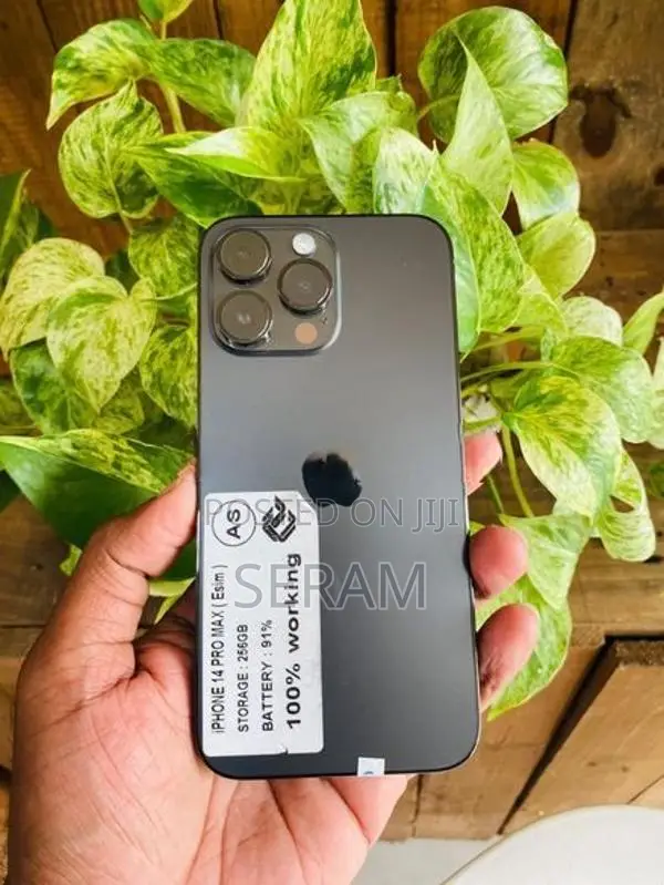 Apple iPhone 14 Pro Max (Used)