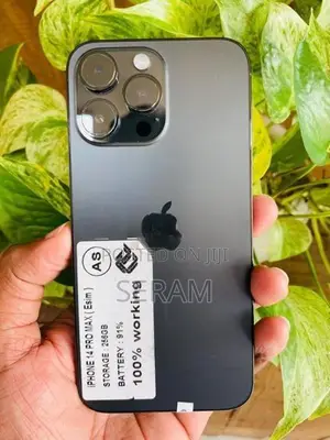 Apple iPhone 14 Pro Max (Used)
