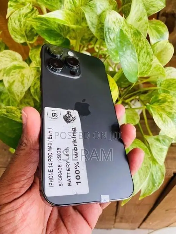 Apple iPhone 14 Pro Max (Used)