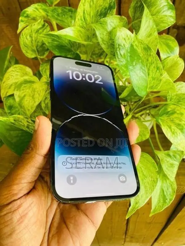 Apple iPhone 14 Pro Max (Used)