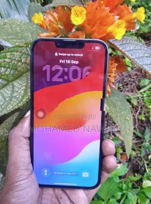 Apple iPhone 13 (Used)