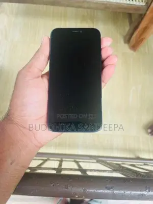 Apple iPhone 12 mini (Used)