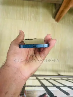 Apple iPhone 12 mini (Used)