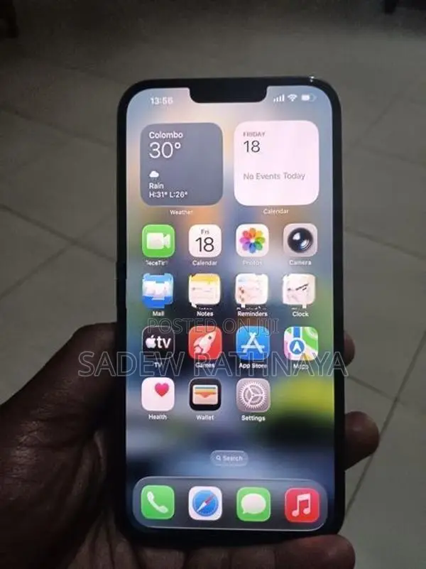 Apple iPhone 13 Pro Max (Used)