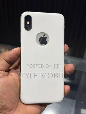 Apple iPhone X 256GB (Used)