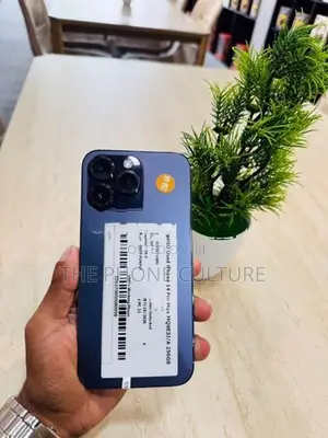 Apple iPhone 14 Pro Max 256GB (Used)