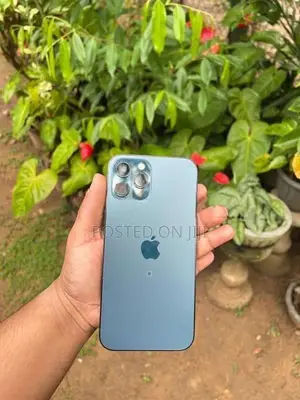 Apple iPhone 12 Pro Max (Used)