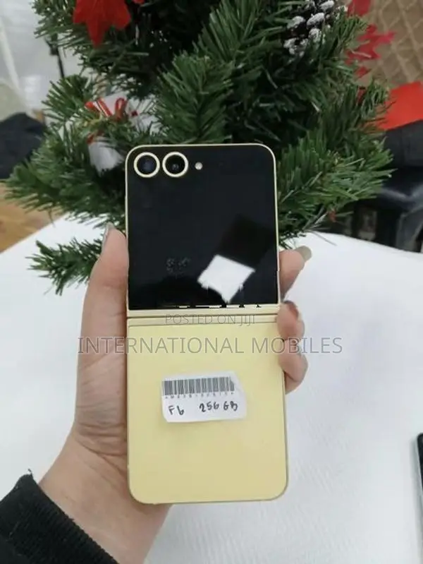 Samsung Galaxy Z Flip 6 Fullset 256GB (Used)