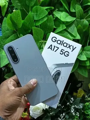 Samsung Galaxy A17 (Used)