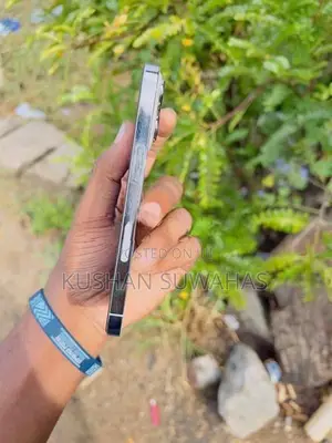 Apple iPhone 13 Pro (Used)