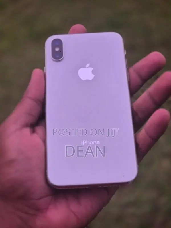 Apple iPhone X 256GB (Used)
