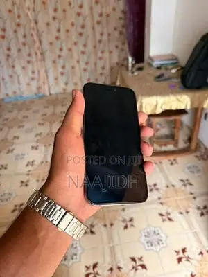 Apple iPhone 14 Pro Max 256GB (Used)