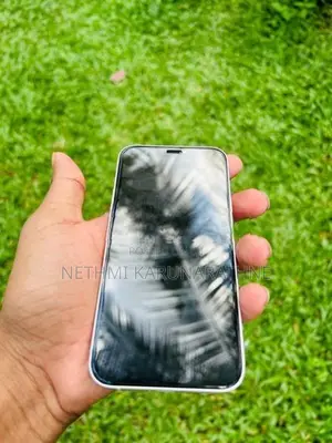 Apple iPhone 12 mini (Used)