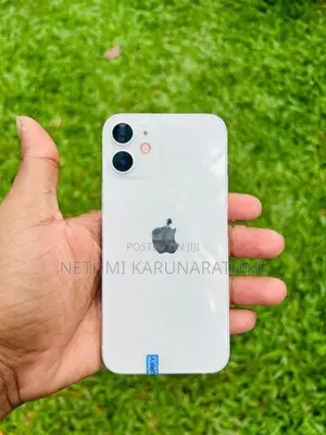 Apple iPhone 12 mini (Used)