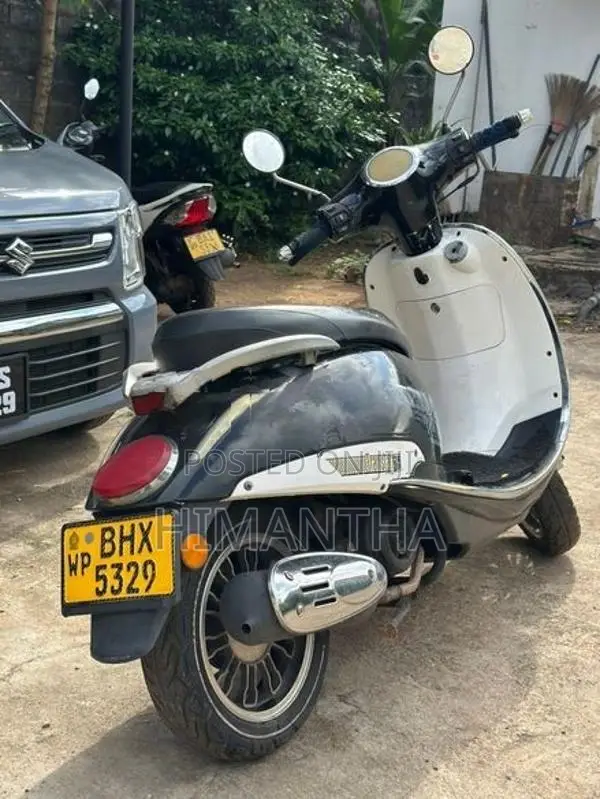 Demak Transtar 2019