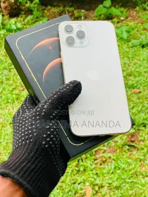 Apple iPhone 12 Pro (Used)