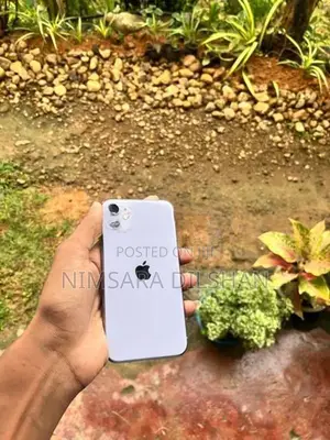 Apple iPhone 11 (Used)