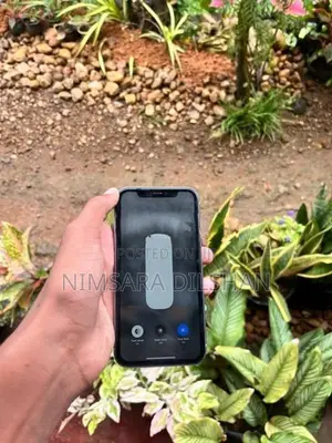 Apple iPhone 11 (Used)