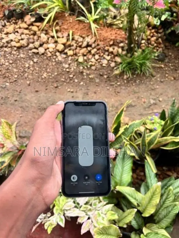 Apple iPhone 11 (Used)