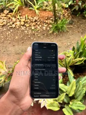 Apple iPhone 11 (Used)