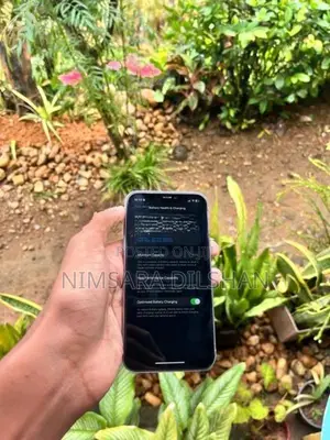 Apple iPhone 11 (Used)