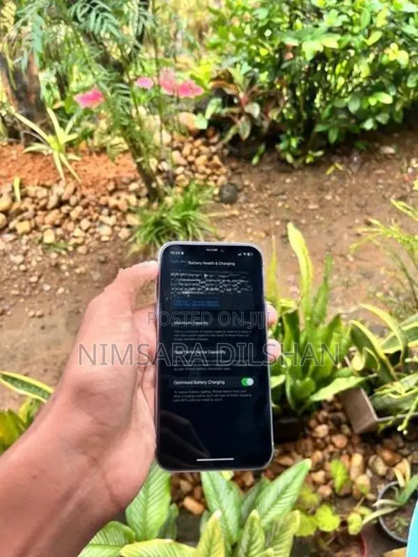 Apple iPhone 11 (Used)