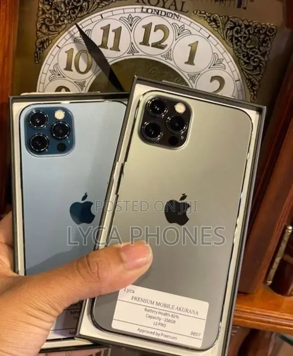 Apple iPhone 12 Pro 256GB (Used)