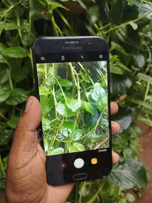 Apple iPhone 8 (Used)