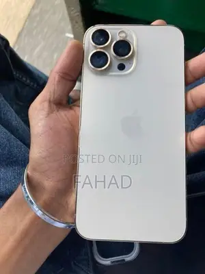 Apple iPhone 13 Pro Max (Used)