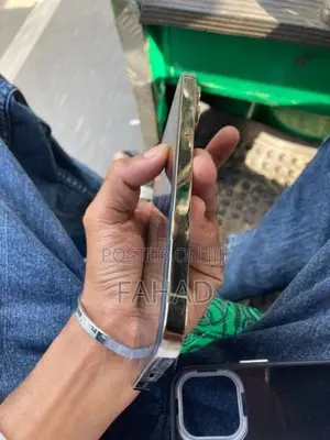 Apple iPhone 13 Pro Max (Used)