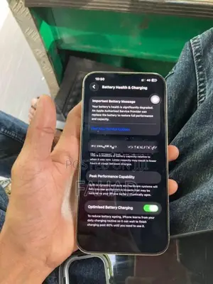 Apple iPhone 13 Pro Max (Used)